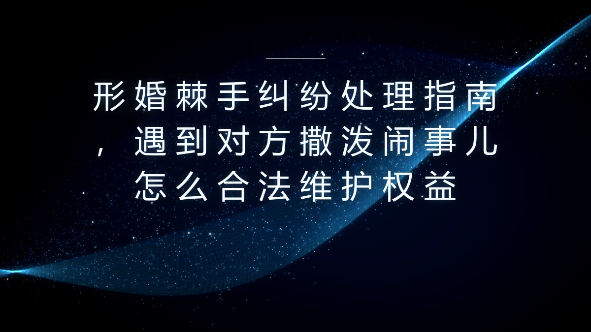 形婚遇对方撒泼闹事维权保姆级指南:从前期避坑到纠纷处理全流程 - 形婚_形式婚姻网