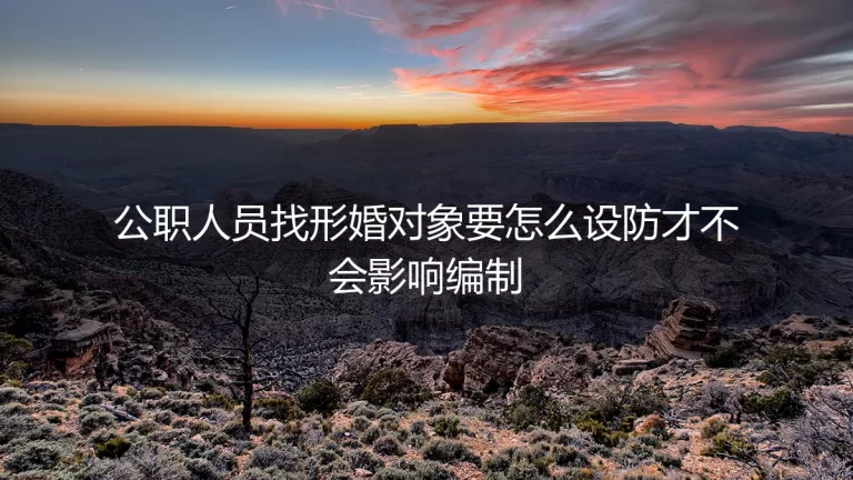 公职人员形婚设防FAQ：怎么做才不会影响编制？